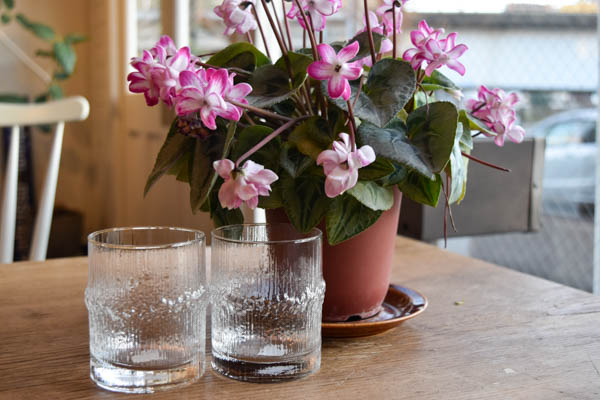 iittala イッタラ　花瓶　TapioWirkkala